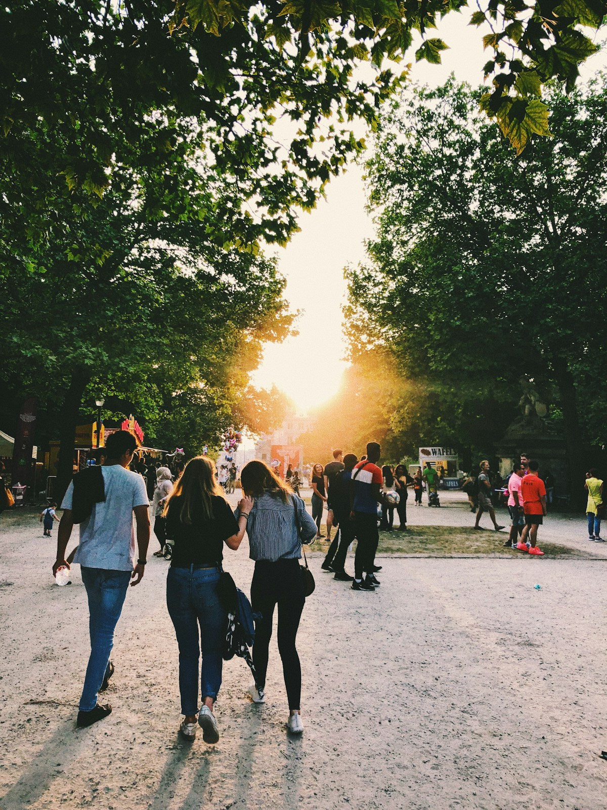 Friends walking down a tree-lined avenue towards the low summer sun